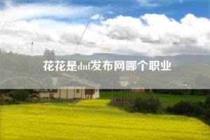 花花是dnf发布网哪个职业