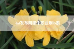 dnf发布网哪个职业刷95泰