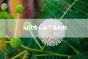 dnf女格斗哪个练级快