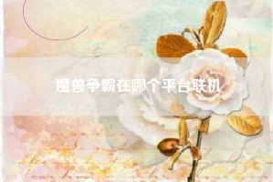 魔兽争霸在哪个平台联机