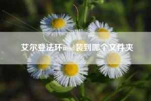 艾尔登法环mod装到哪个文件夹