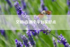 文明6在哪个平台买好点