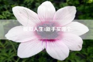 模拟人生4新手买哪个