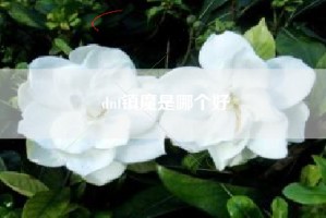 dnf镇魔是哪个好