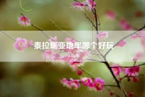 泰拉瑞亚地牢哪个好玩