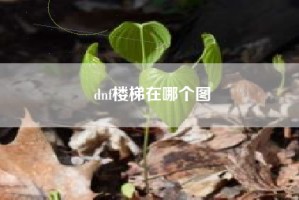dnf楼梯在哪个图