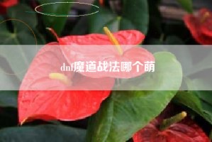 dnf魔道战法哪个萌