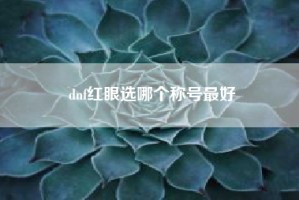 dnf红眼选哪个称号最好