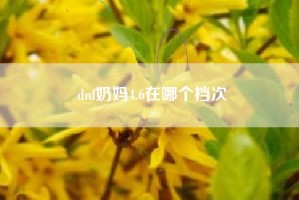 dnf奶妈4.6在哪个档次