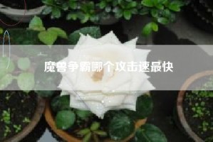 魔兽争霸哪个攻击速最快