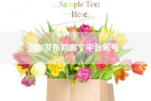 dnf发布网哪个平台帐号