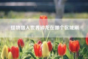 怪物猎人世界碎龙在哪个区域刷