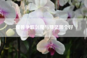 魔兽争霸剑魔与精灵哪个好