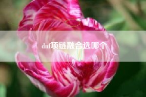 dnf项链融合选哪个