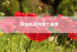 诛仙私发网哪个最美