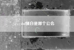 dnf骚白是哪个公会