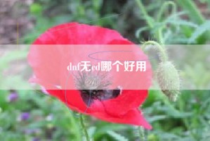dnf无cd哪个好用