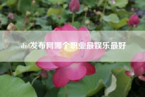 dnf发布网哪个职业最娱乐最好