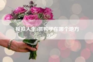 模拟人生4抓鸭子在哪个地方