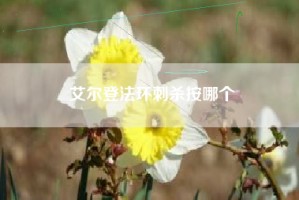 艾尔登法环刺杀按哪个