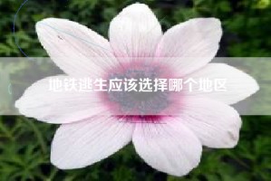 地铁逃生应该选择哪个地区