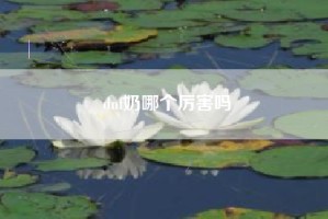 dnf奶哪个厉害吗