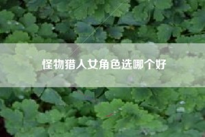 怪物猎人女角色选哪个好