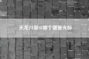 天龙八部SF哪个键是光标