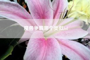 魔兽争霸哪个类似lol