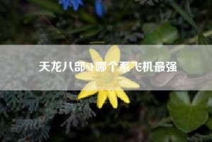 天龙八部SF哪个系飞机最强
