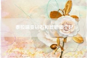 泰拉瑞亚钻石和琥珀哪个好