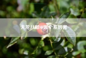 天龙八部SF哪个系厉害