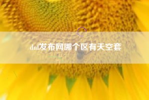 dnf发布网哪个区有天空套