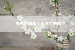 魔兽争霸新手选哪个地图