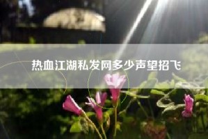 热血江湖私发网多少声望招飞
