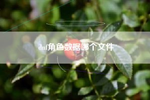 dnf角色数据哪个文件