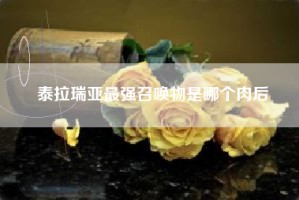 泰拉瑞亚最强召唤物是哪个肉后