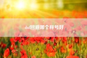 dnf回避哪个称号好
