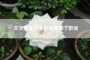 艾尔登法环拿巨剑是哪个职业