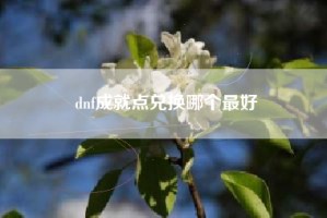 dnf成就点兑换哪个最好