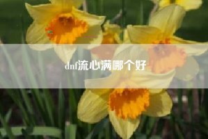 dnf流心满哪个好