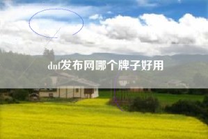 dnf发布网哪个牌子好用