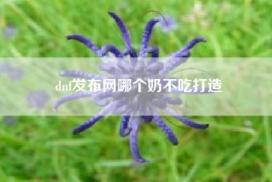 dnf发布网哪个奶不吃打造