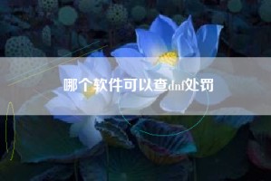 哪个软件可以查dnf处罚