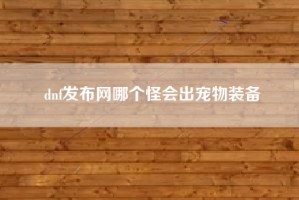 dnf发布网哪个怪会出宠物装备