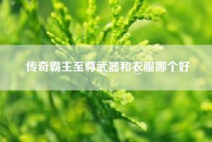 传奇霸主至尊武器和衣服哪个好
