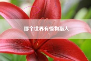哪个世界有怪物猎人