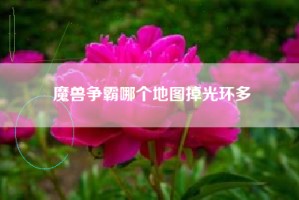 魔兽争霸哪个地图掉光环多