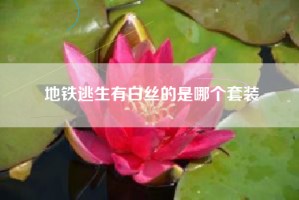 地铁逃生有白丝的是哪个套装