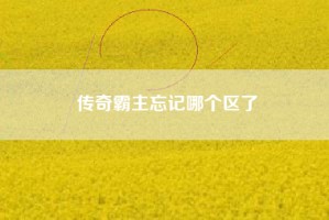传奇霸主忘记哪个区了